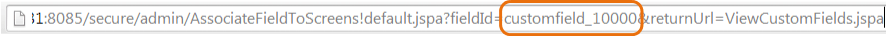 Custom field in te URL